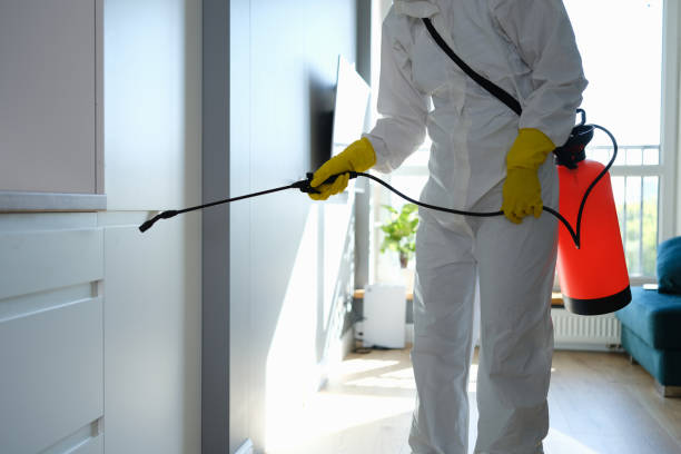 Best Mold Testing  in Bellevue, WI