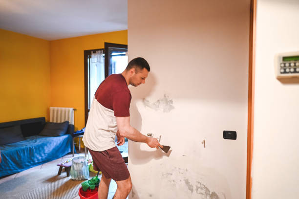 Best Toxic Mold Removal  in Bellevue, WI